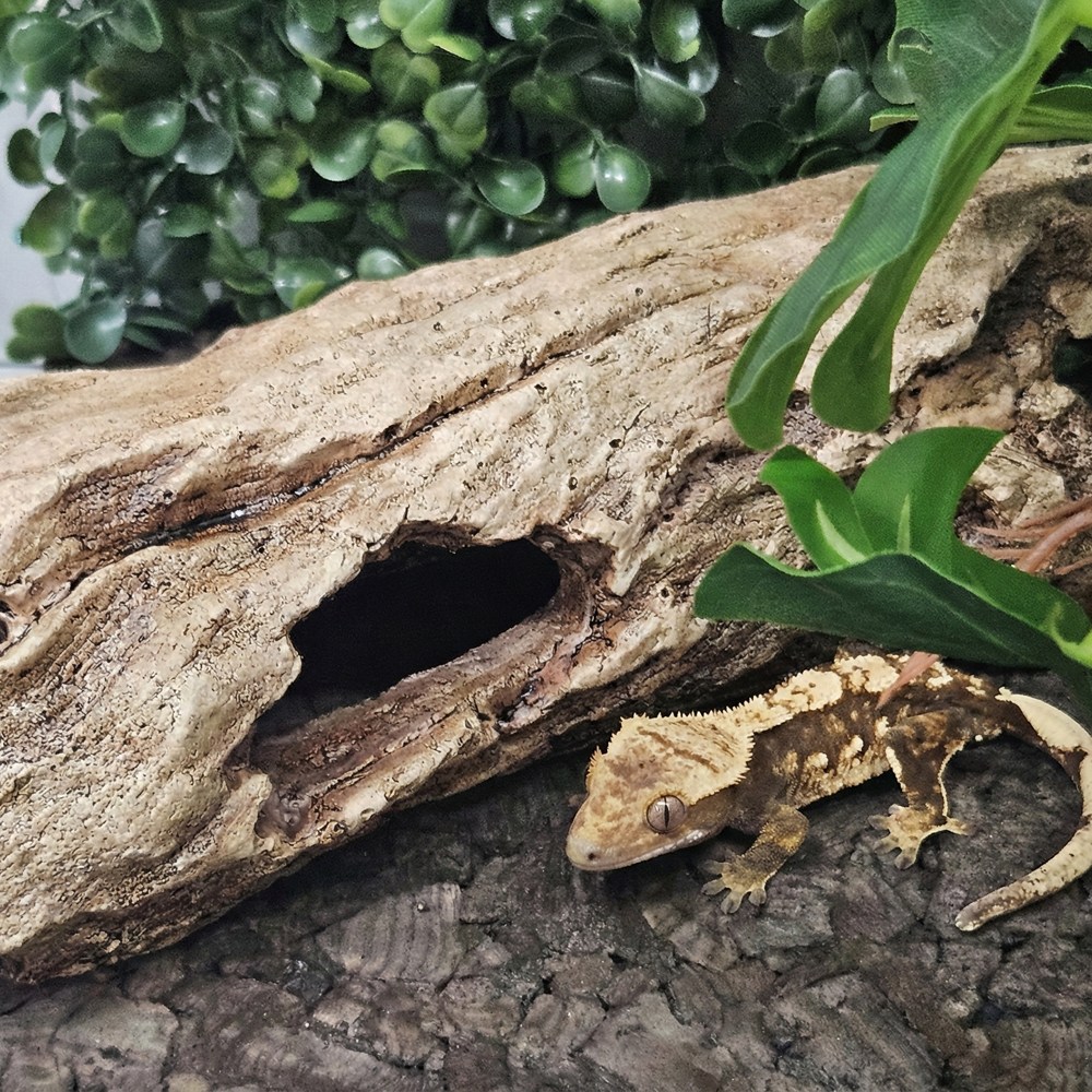 크레마루 올드트리 통나무 은신처 12,800원