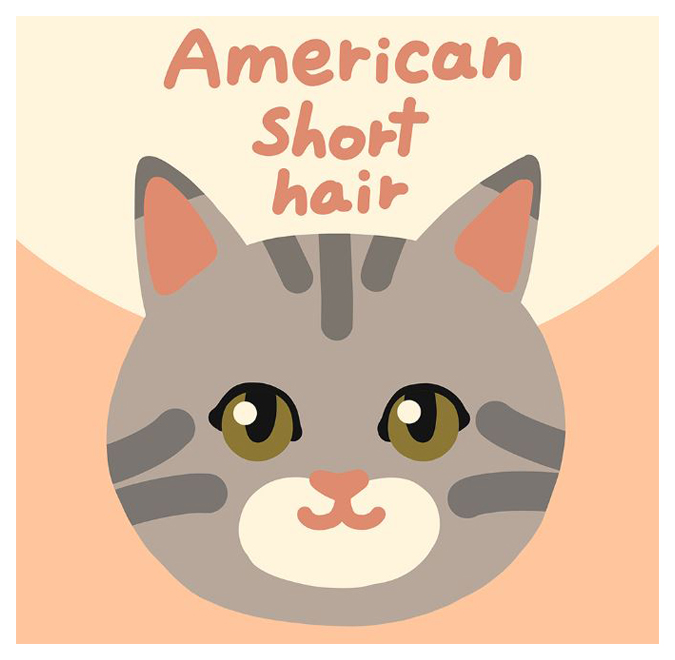 아트조이 DIY 명화그리기 20 x 20 cm 6,900원