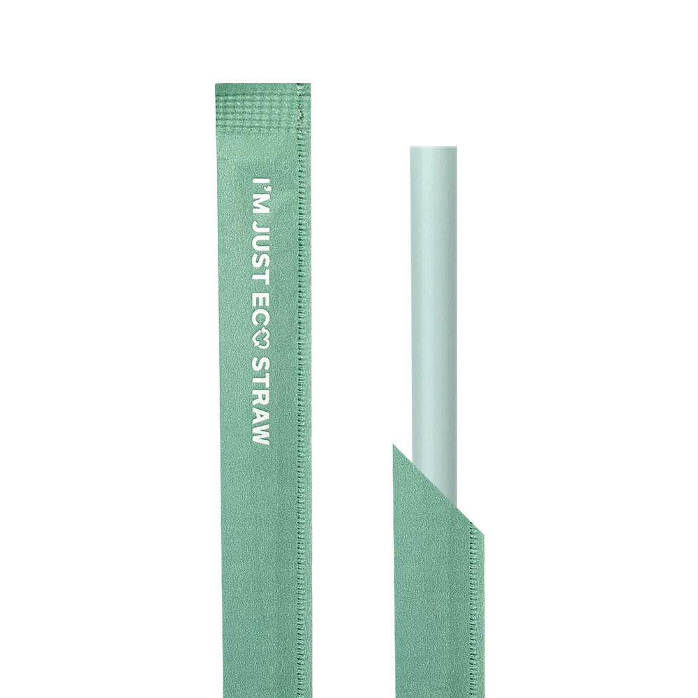 스마일어스 옥수수 PLA 빨대 개별 포장 21cm 베이비 그린, 40개, 100개 104,000원