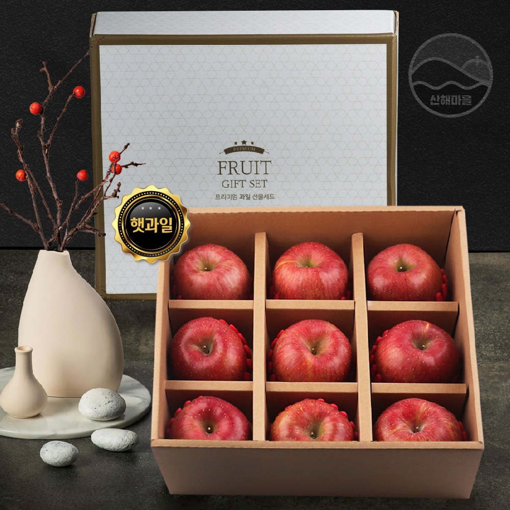 산해마을 사과 과일 선물세트 9수 3.5kg내외, 1세트, 3.5kg 100,000원