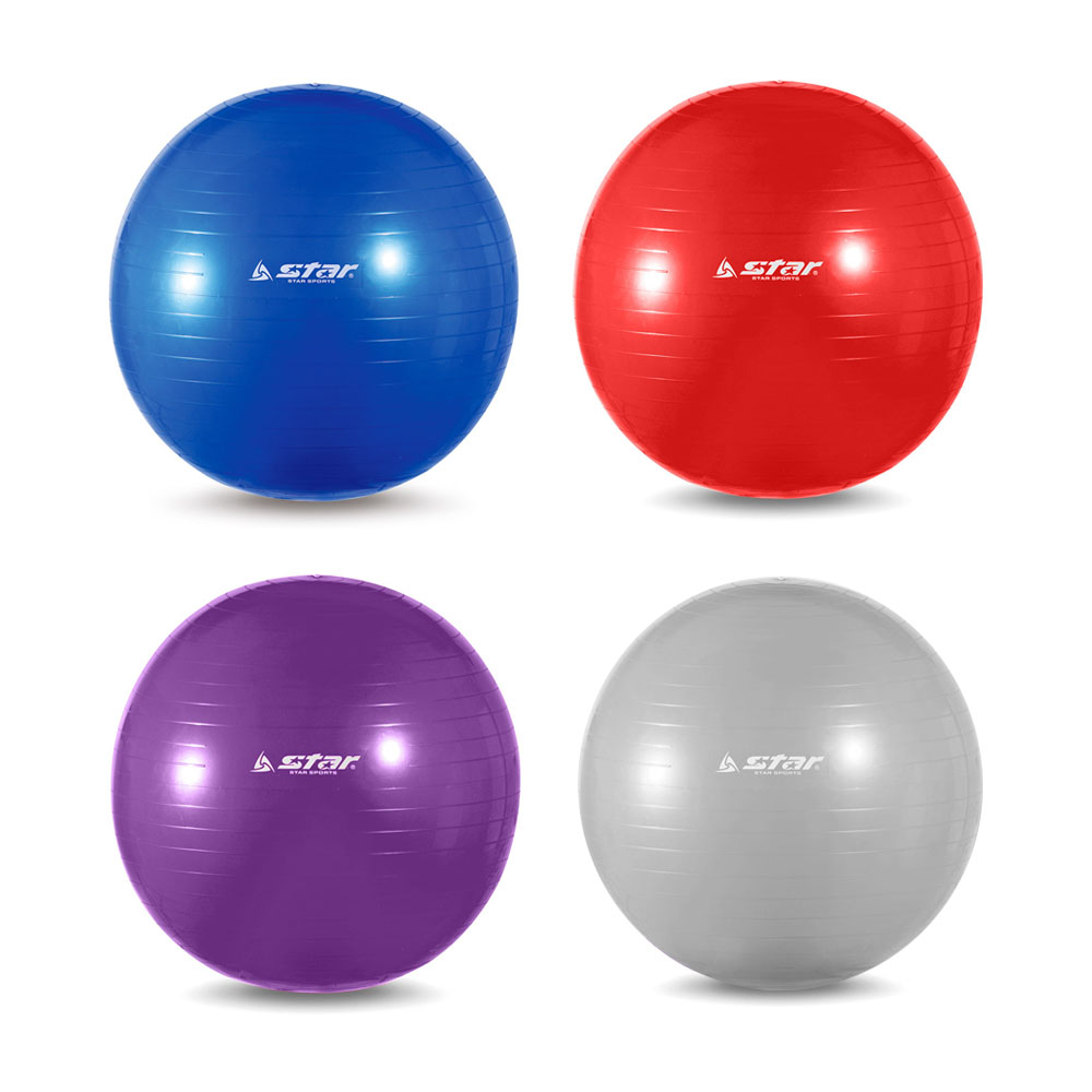 스타스포츠 짐볼 65cm (EB200M) 17,000원