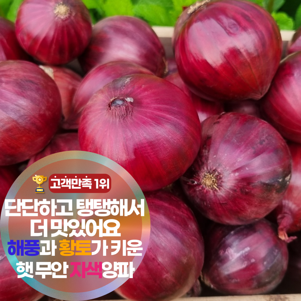 삼시세끼연구소 생으로도 맛있는 무안 햇양파 자색양파 장아찌용 15,900원