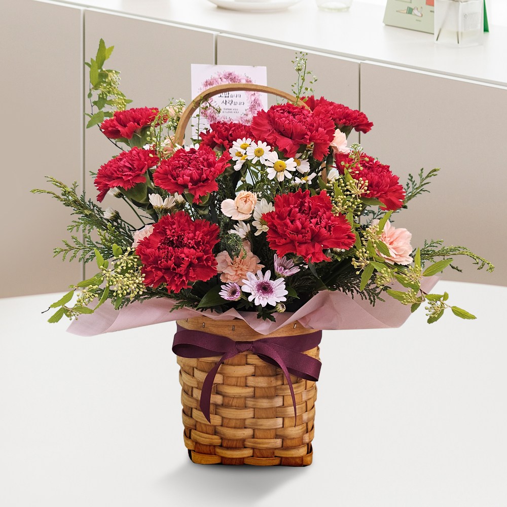 전국당일발송 (감사의 카네이션 a-0288) 꽃다발 꽃바구니 기념일 꽃배달 꽃선물 생화 졸업 승진 인테리어 60,000원