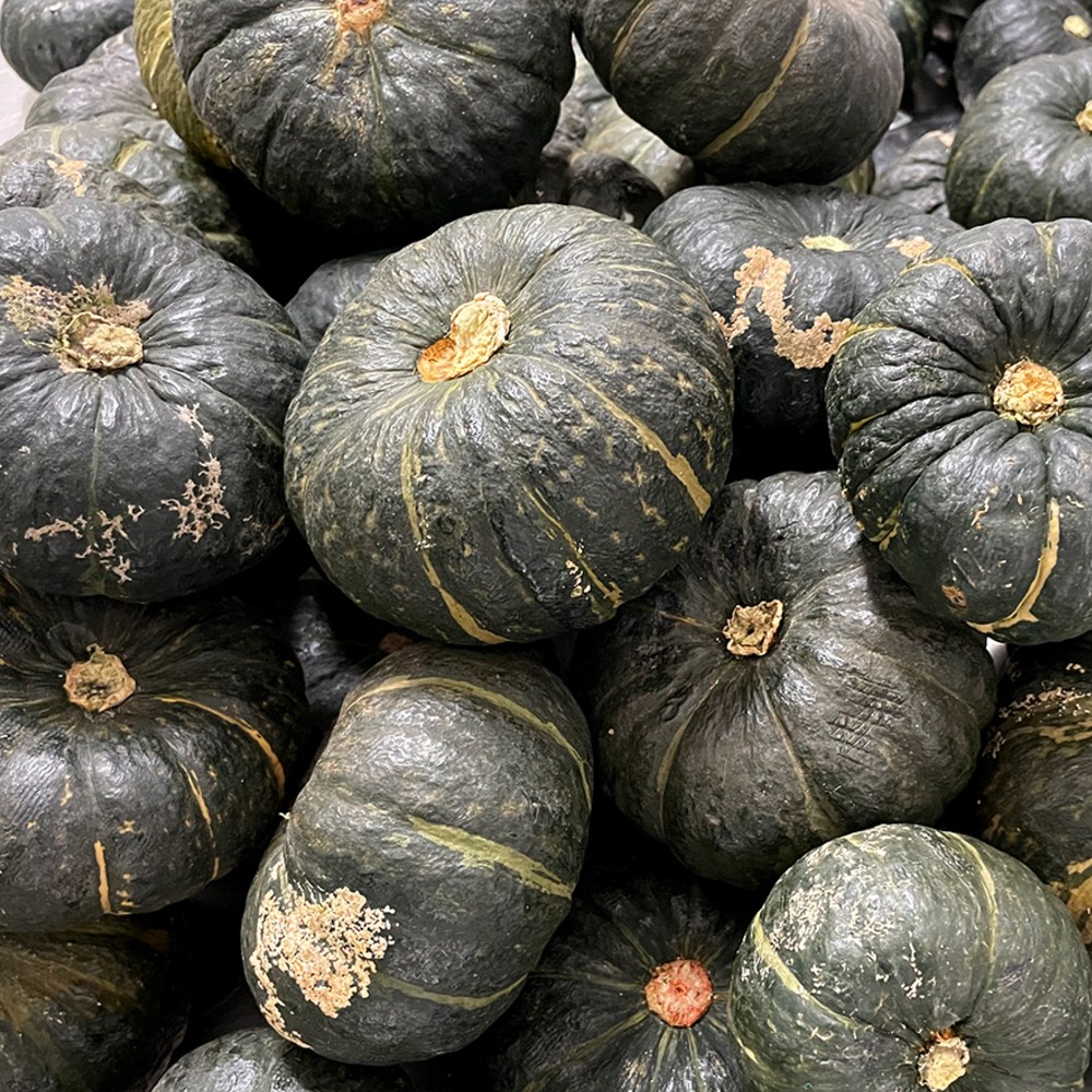 26년 산지직송 해남 미니 밤호박 단호박 못난이 12,500원