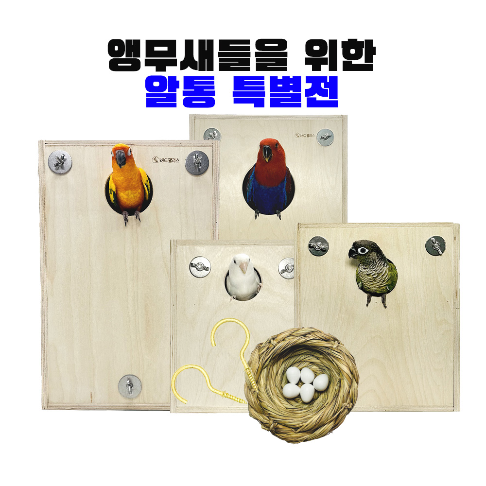 국내생산 앵무새 알통 둥지 번식 용품 나무 코뉴어 아마존 회색 퀘이커 모란 왕관 카이큐 뉴기니아, 1개, 내추럴, 현재가 119,000원