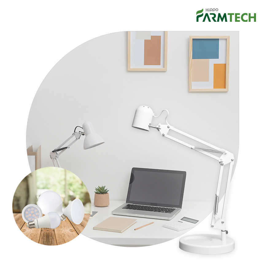 히포팜텍 식물생장LED 5종 조명 단스탠드 패키지 식집사 패키지 44,000원