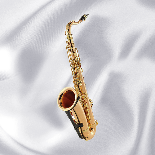 색소폰 야나기사와 테너색소폰 T-WO2 테너 TWO2 브론즈 색소폰 테너 6,000,000원