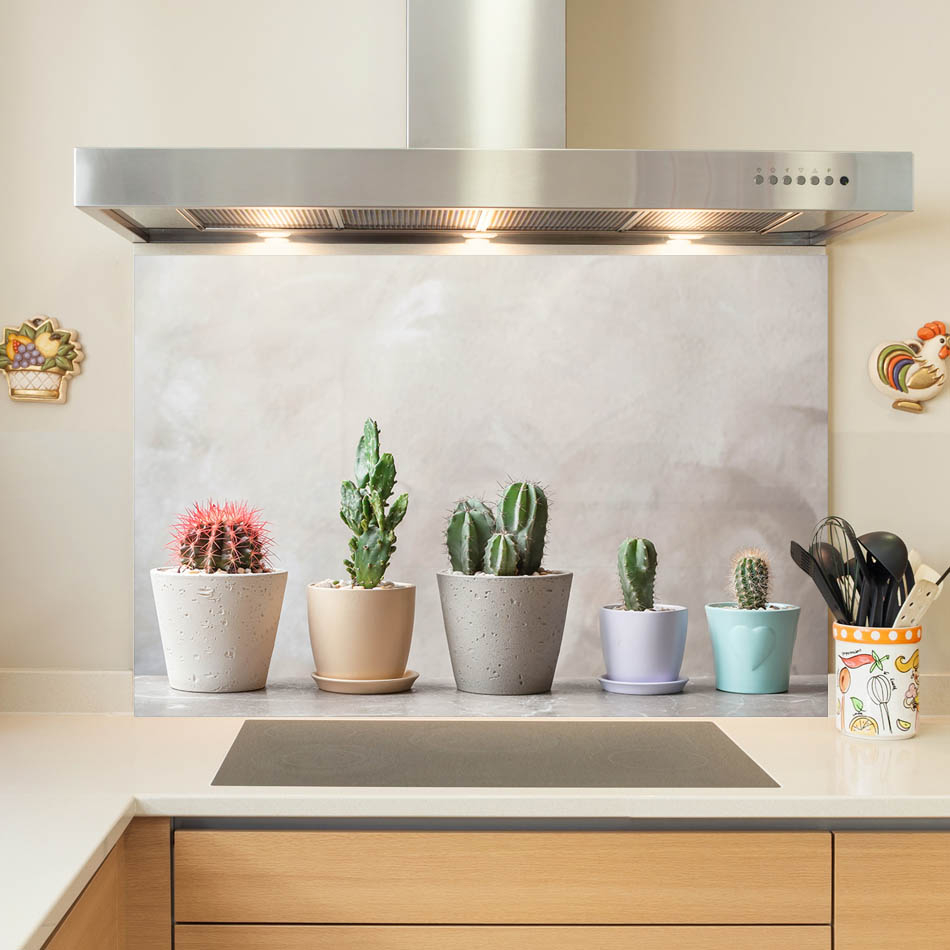 코나주방아트보드 고정형 선인장퀸텟, 1개 35,600원