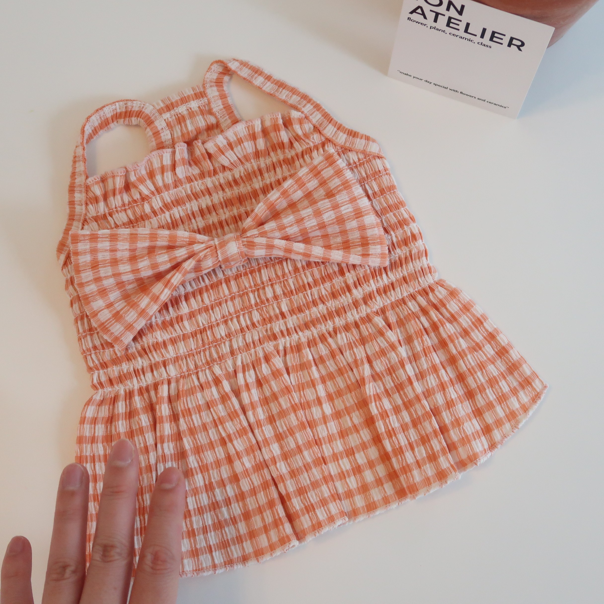 노바하우스 강아지옷 원피스 봄가을 반려동물, 1개, 리본 원피스 레드 14,900원