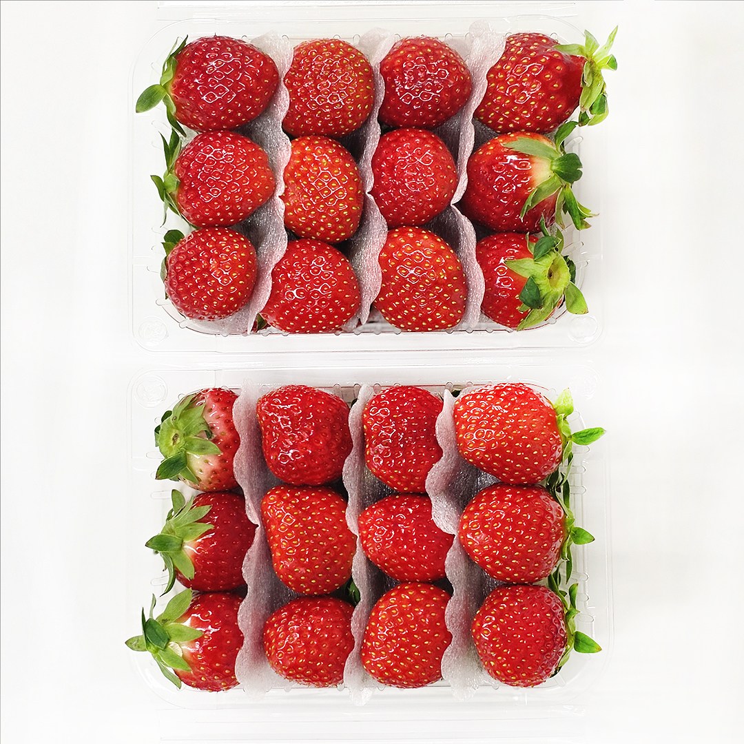 햅피팜 당도선별 딸기 설향 고당도 생 딸기, 1개, 특품 2kg 40,300원
