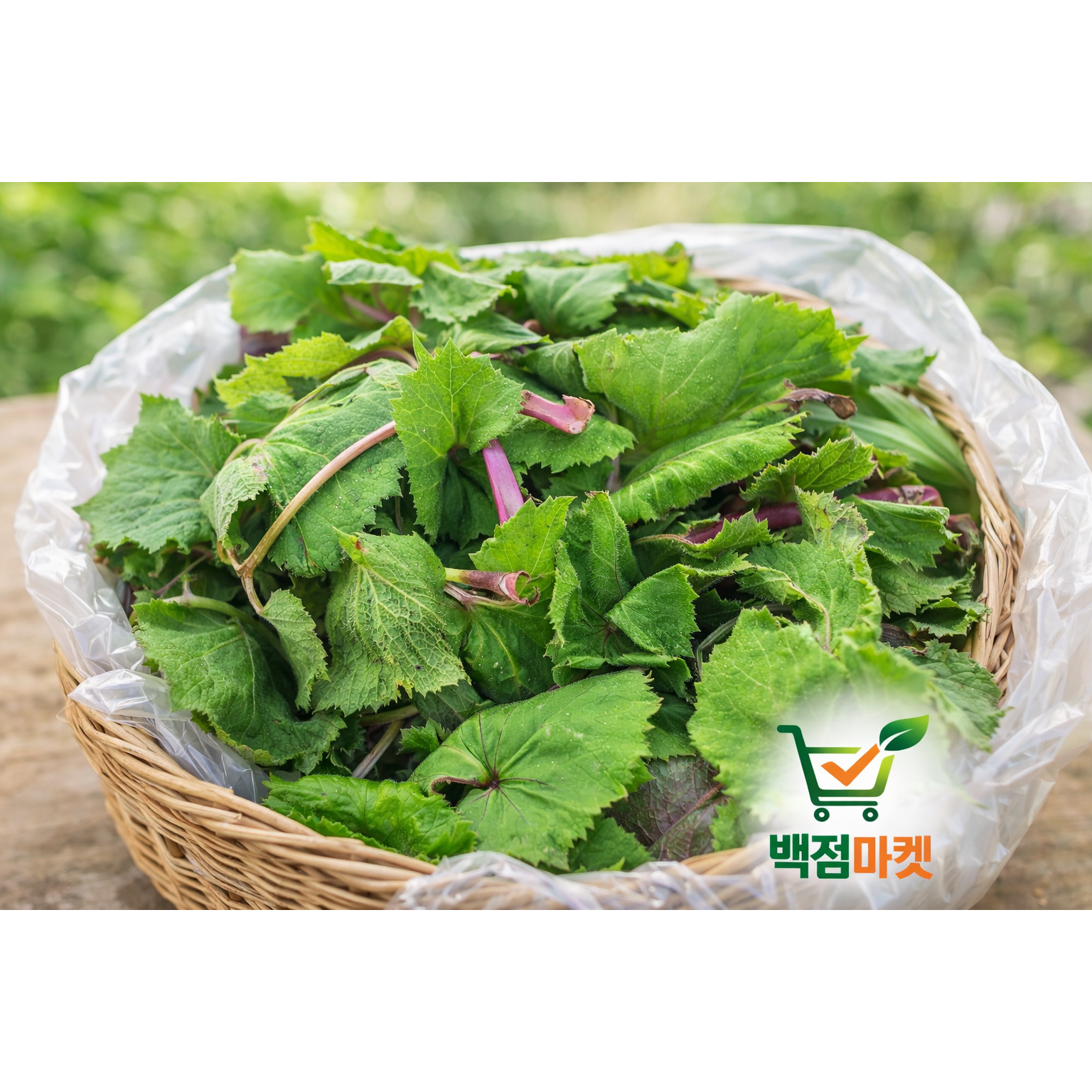 백점마켓 엄선 자연산 머위 국산 제철 봄나물 산지직송 신선한 머위잎 머위나물 건강 산나물 프리미엄_500g,1kg_백점마켓, 1박스, 500g 12,900원