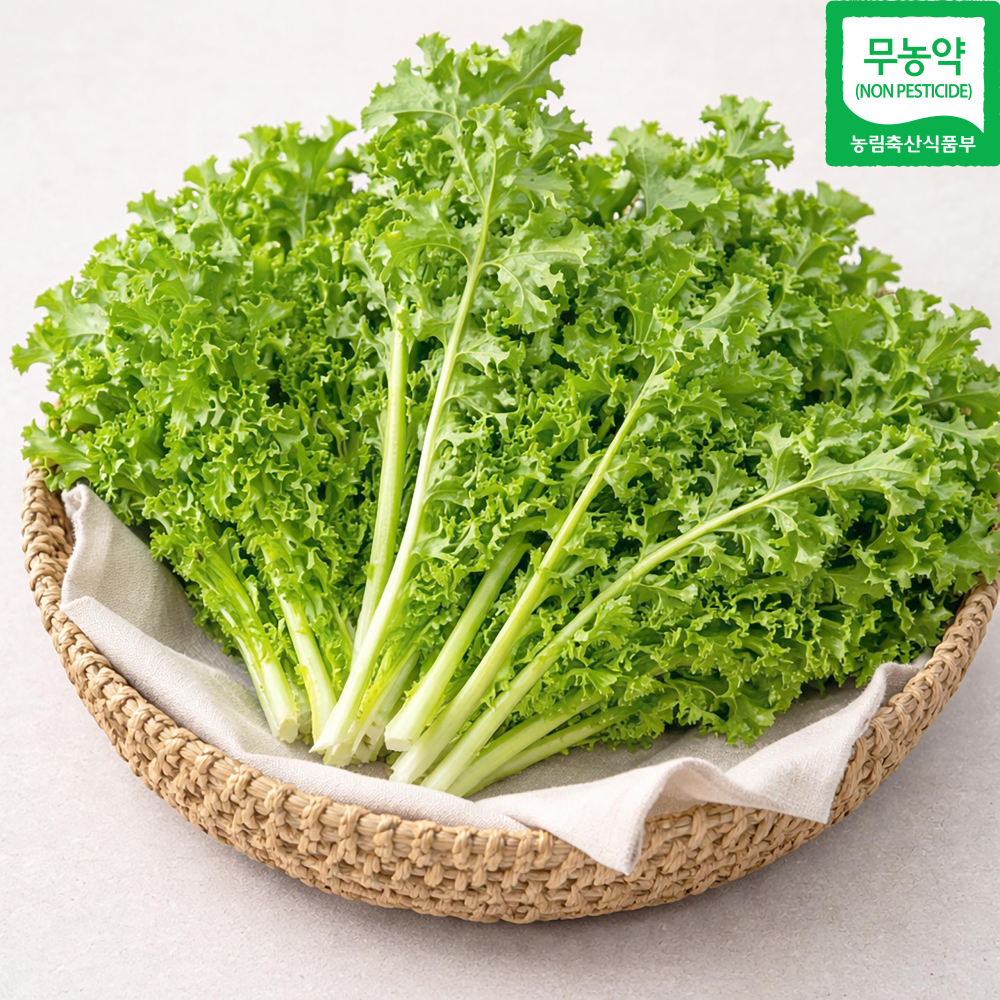 무농약 치커리 국내산 모듬쌈 샐러드채소 샐러드 쌈채소 친환경 당일수확, 1박스, 1kg 11,900원