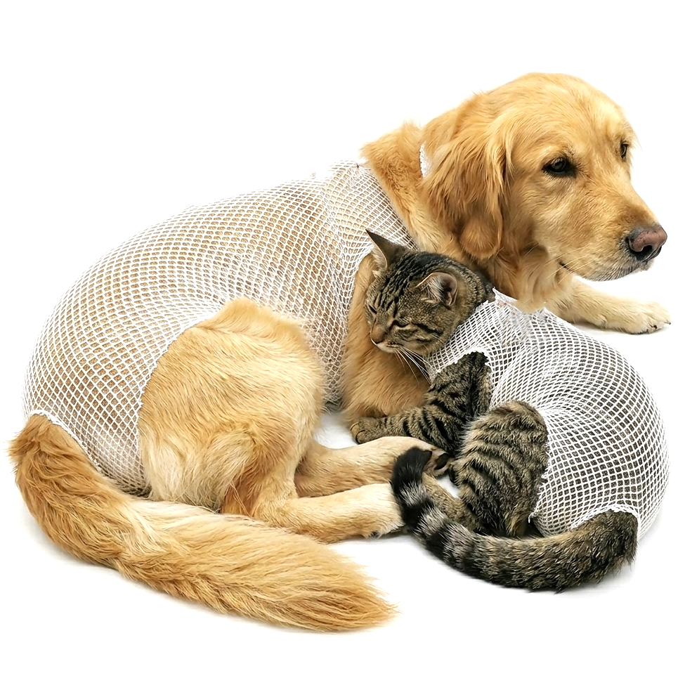 고양이 강아지 중성화 수술복 환묘복 상처 수술부위 보호 붕대 10,600원