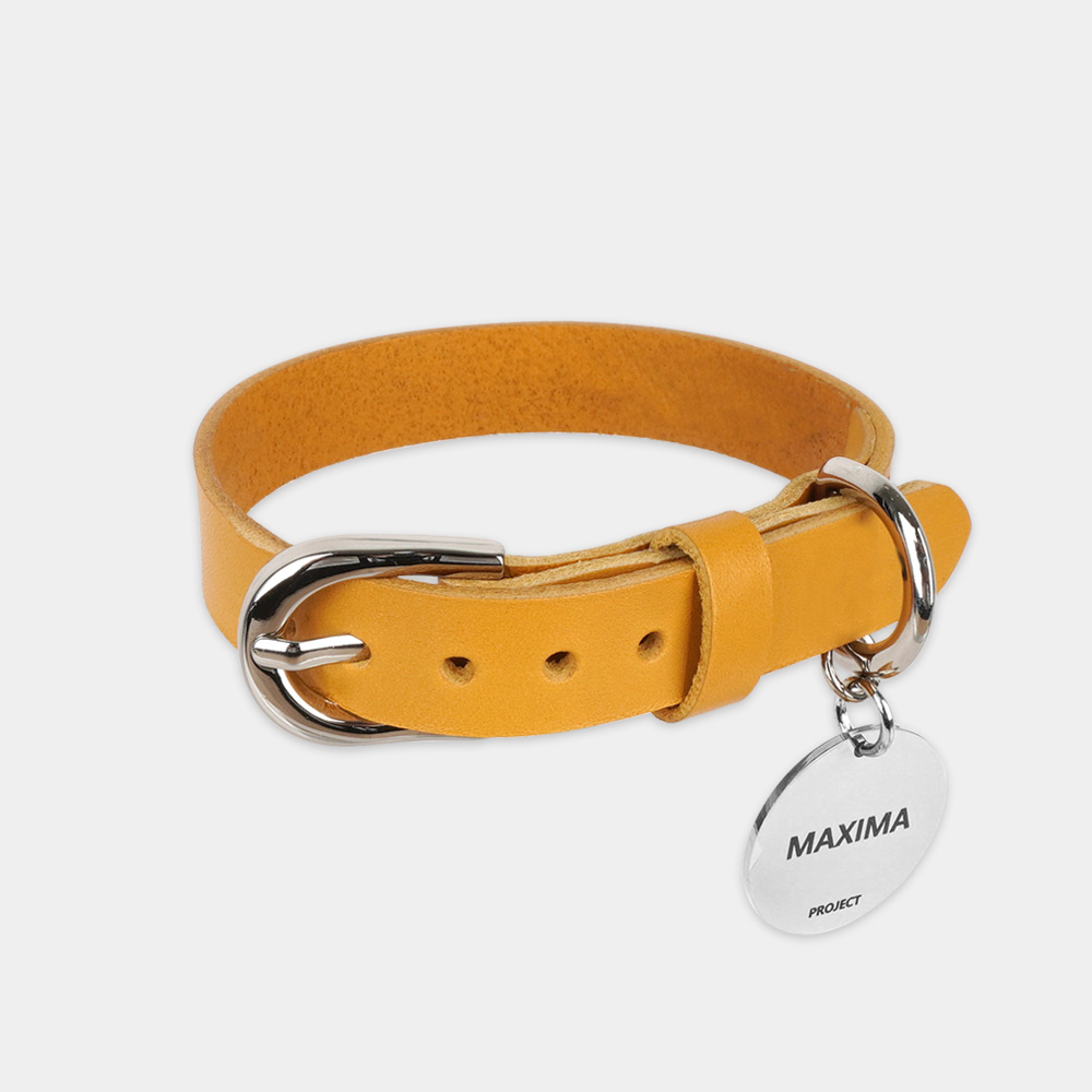 MX PET 베지터블 가죽 목줄 325X MUSTARD 강아지 소 중 대형 각인, 머스타드/기본형, 1개 39,900원