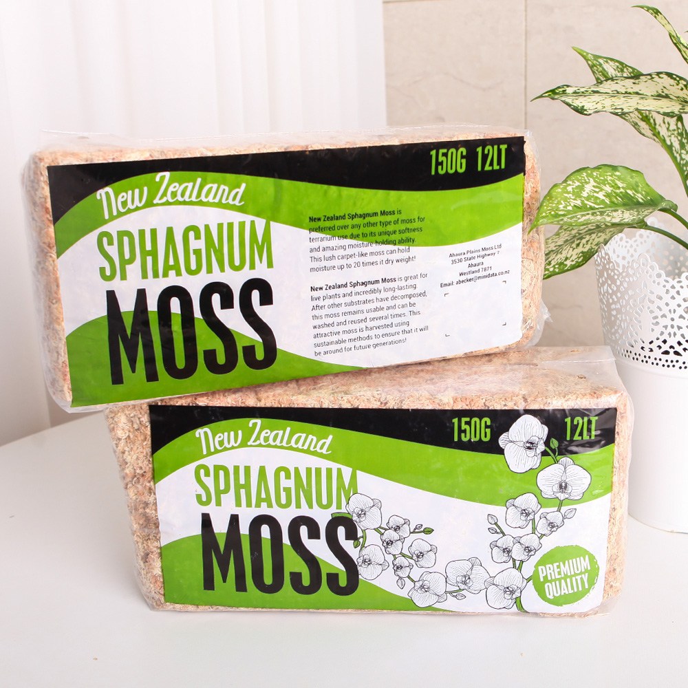 SKFARM 뉴질랜드 AA 고급 수태 건조이끼 150g, 1개 15,000원