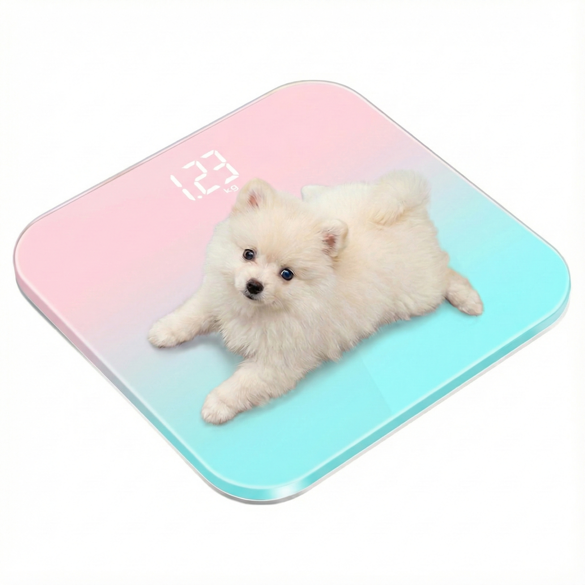 베이비테일 반려동물 체중계 강아지 고양이 소수점 측정 14,200원