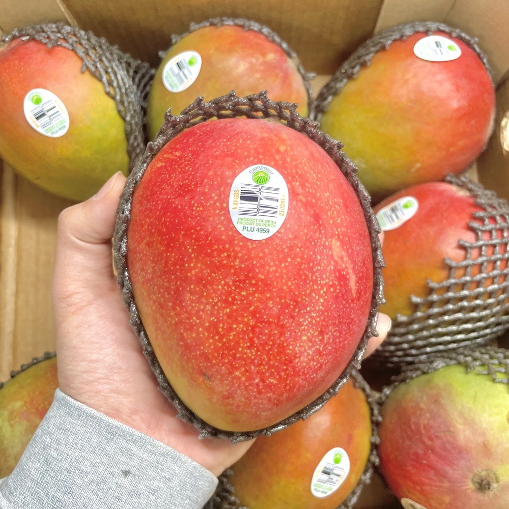 초특가 애플망고 페루산 애플망고 달콤한 열대과일 특가, 1박스, 애플망고 4kg (7~10개입) 41,900원