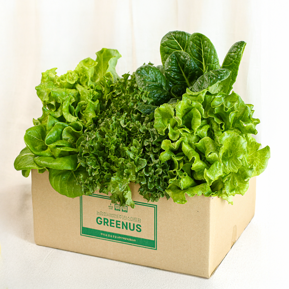 그린어스샐러드 무농약 친환경 GAP인증 유러피안 샐러드 모듬 4종 10,900원