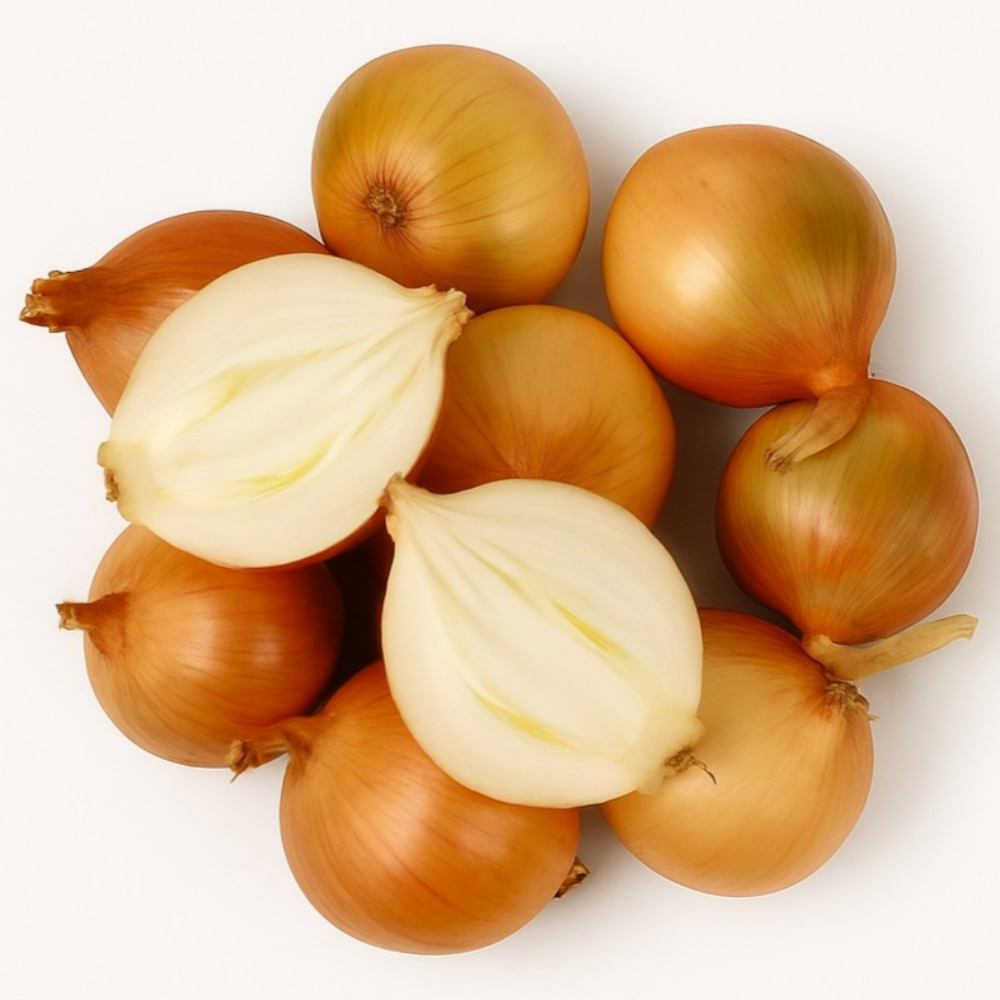 맛통령 국내산 양파 아삭아삭 햇양파 7,990원