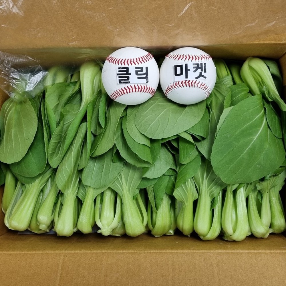 클릭마켓 국내산 청경채 4kg 마라탕 샤브샤브 용, 4kg, 1개 8,200원