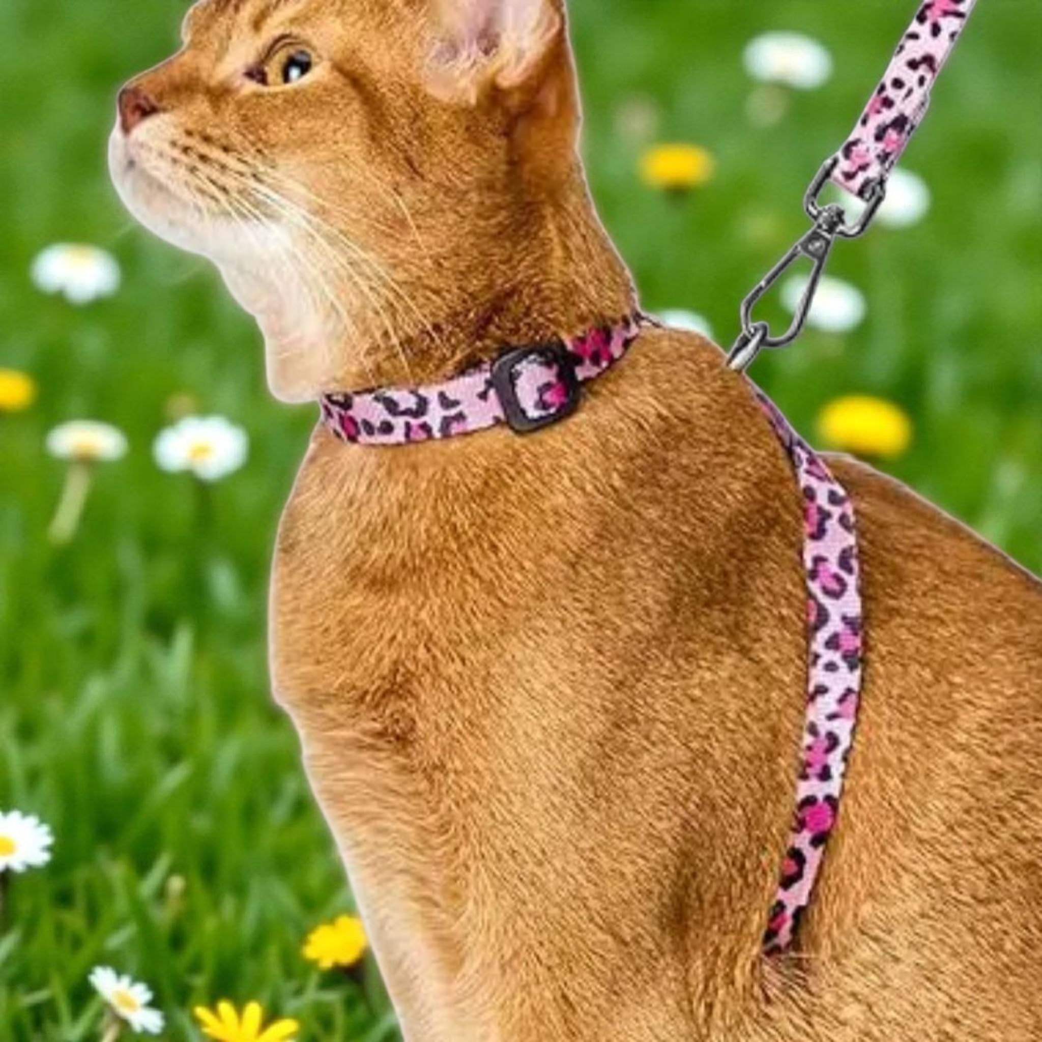 공간나눔 탈출방지 반려동물 하네스 산책용 목줄 5,300원