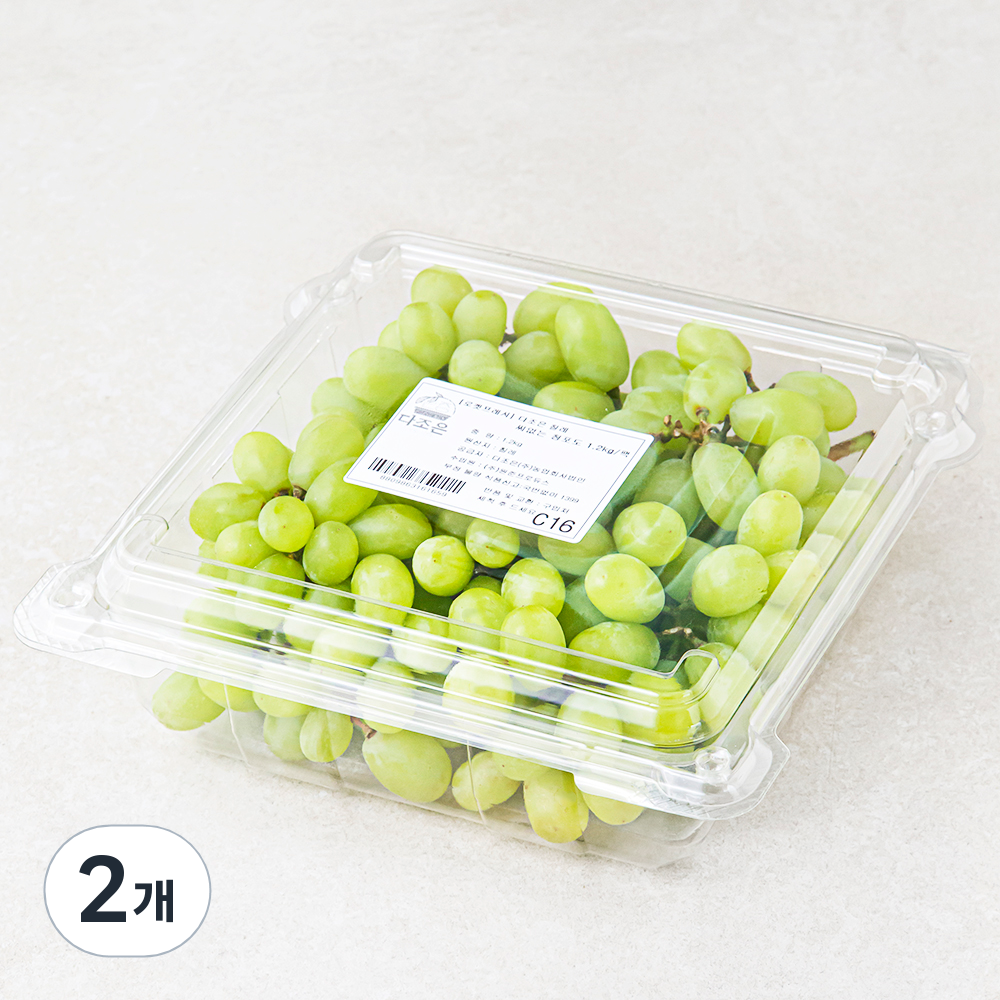 [로켓프레시] 다조은 칠레산 씨없는 청포도, 1.2kg, 2개 19,320원