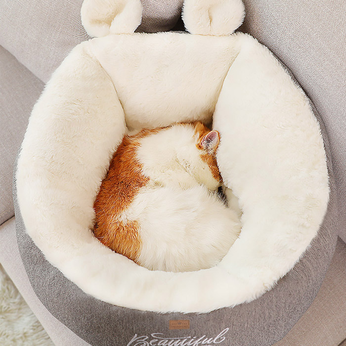 딩동펫 반려동물 포근 허그 수면쿠션 23,000원