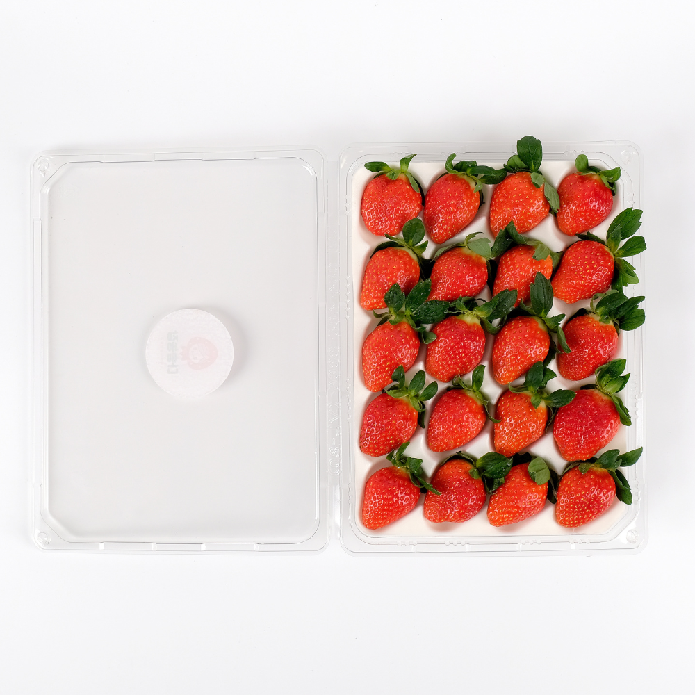 [농장직송] 빅사이즈 설향딸기 논산 생딸기, 1개, 700g(특대) 29,900원