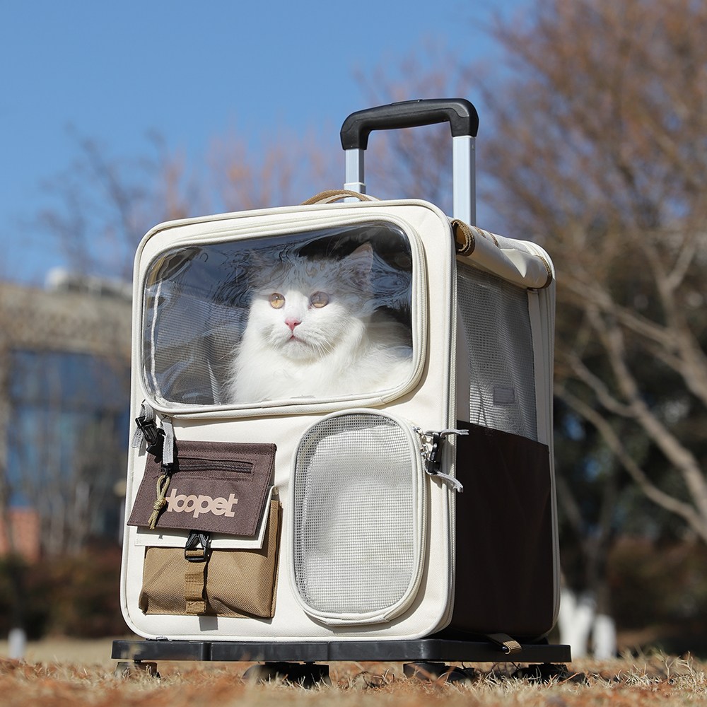 먀오샤오위안 대형 캔버스 반려동물 이동 가방 2in1 - 백팩+캐리어, 통기성 우수 휴대용 멀티펫 여행 캐리어 (강아지 고양이), 1개, 녹색-주황색 55,700원