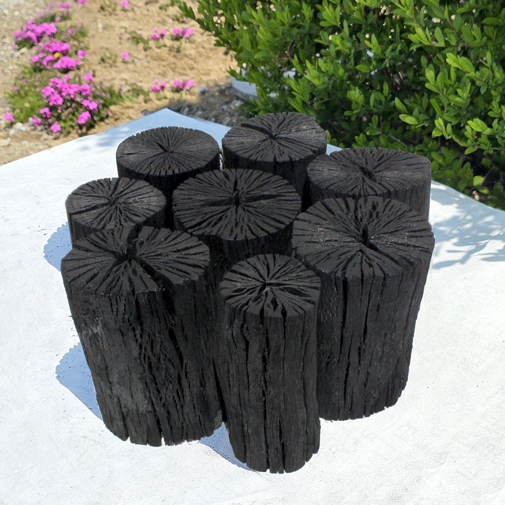 공기정화용숯 새집증후군 냄새제거 탈취 제습 가습 참숯 흑탄 5kg 높이15cm 31,000원