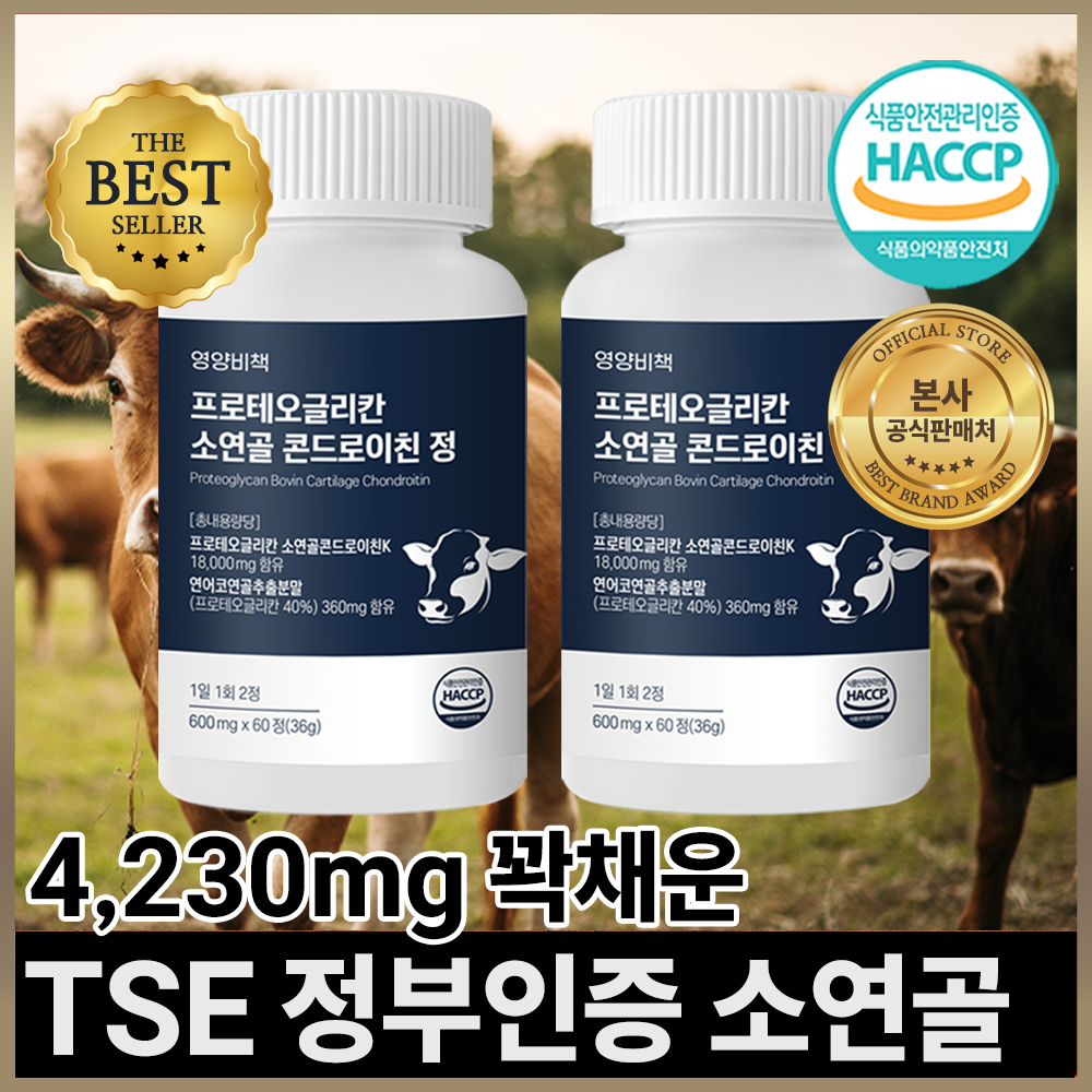 영양비책 프로테오글리칸 소연골 콘드로이친 정, 2개, 60정 29,000원