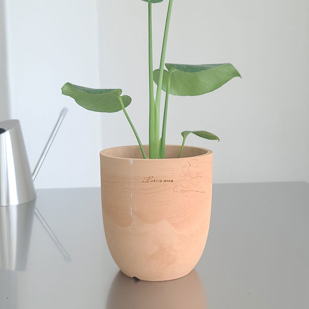 테라원 두툼 빈티지 토분 미분형, 1개, 혼합랜덤색상 28,000원