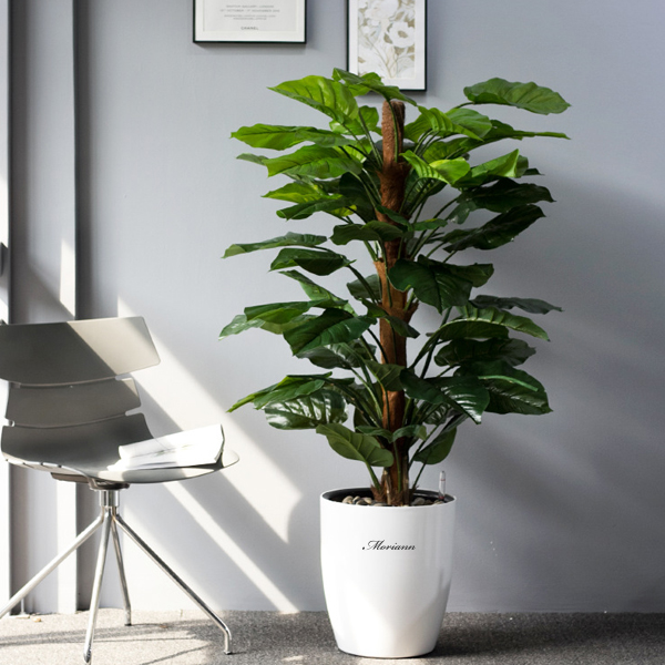 모리앤 원형 저면 관수화분 대형 3438, 화이트, 1개 28,900원