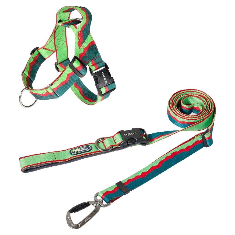 분독 강아지 하이브리드 리쉬 하네스 세트 0109, 그린, 1개 100,700원