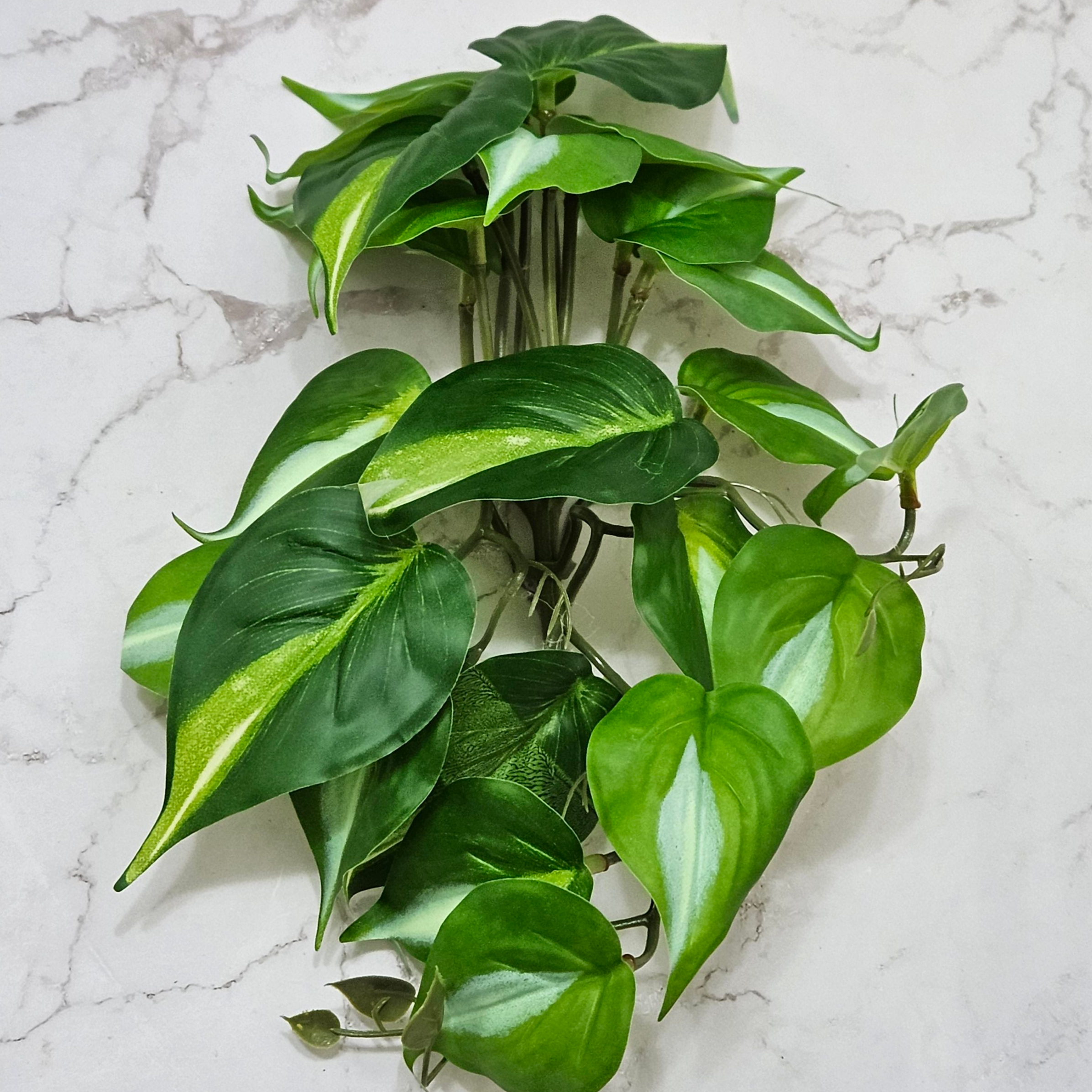 인조넝쿨부쉬 크레스티드 게코 도마뱀 파충류 용품 사육장 꾸미기 인테리어 반짝CR 11,400원