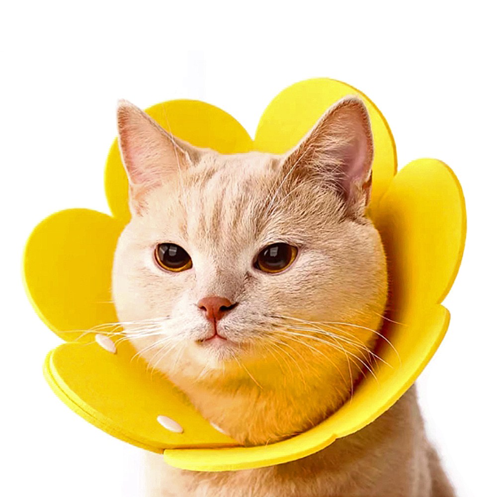 템파 고양이 해바라기 넥카라 가벼운 얼굴커버, 1개, 옐로우 L 12,800원