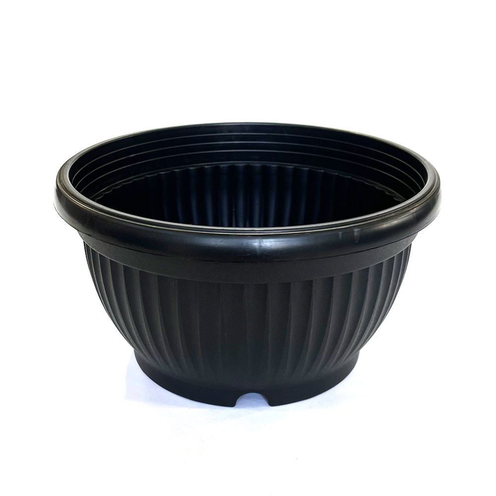 모두다 분재 플라스틱 화분 플분 골분, 1개, 현재가 1,980원