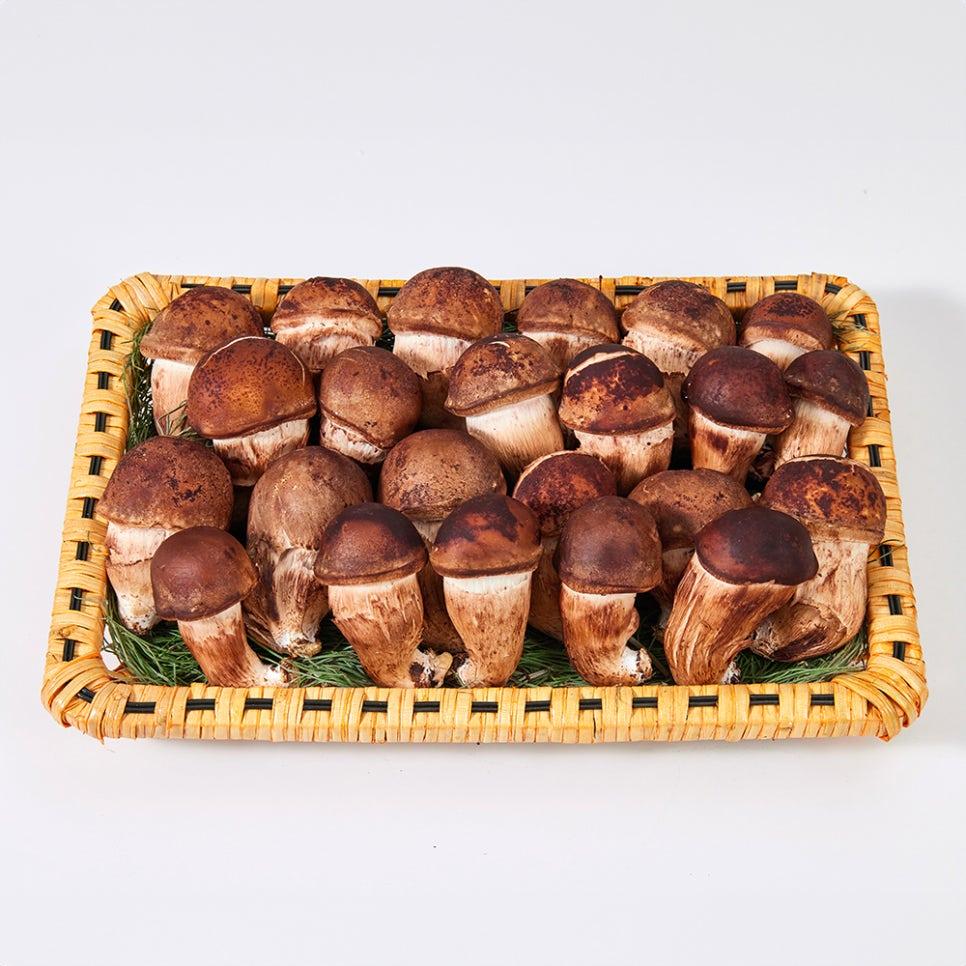(농가직송) 사천시 해풍맞은 1등급 생참송이 버섯 1kg (한정수량) 84,360원