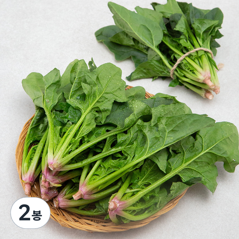 곰곰 농협 보물초 남해 시금치 5,800원