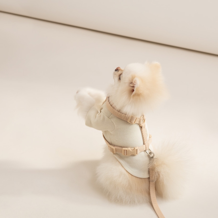 힛찌 강아지 목버클 하네스, 네츄럴베이지, 1개 20,410원