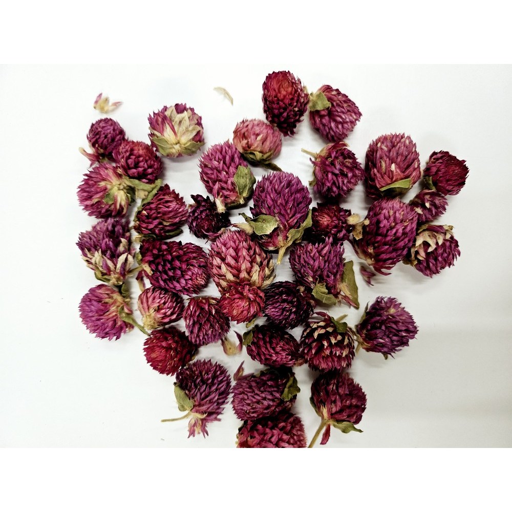 [캔들메이드]드라이플라워 천일홍 보라 2,500원