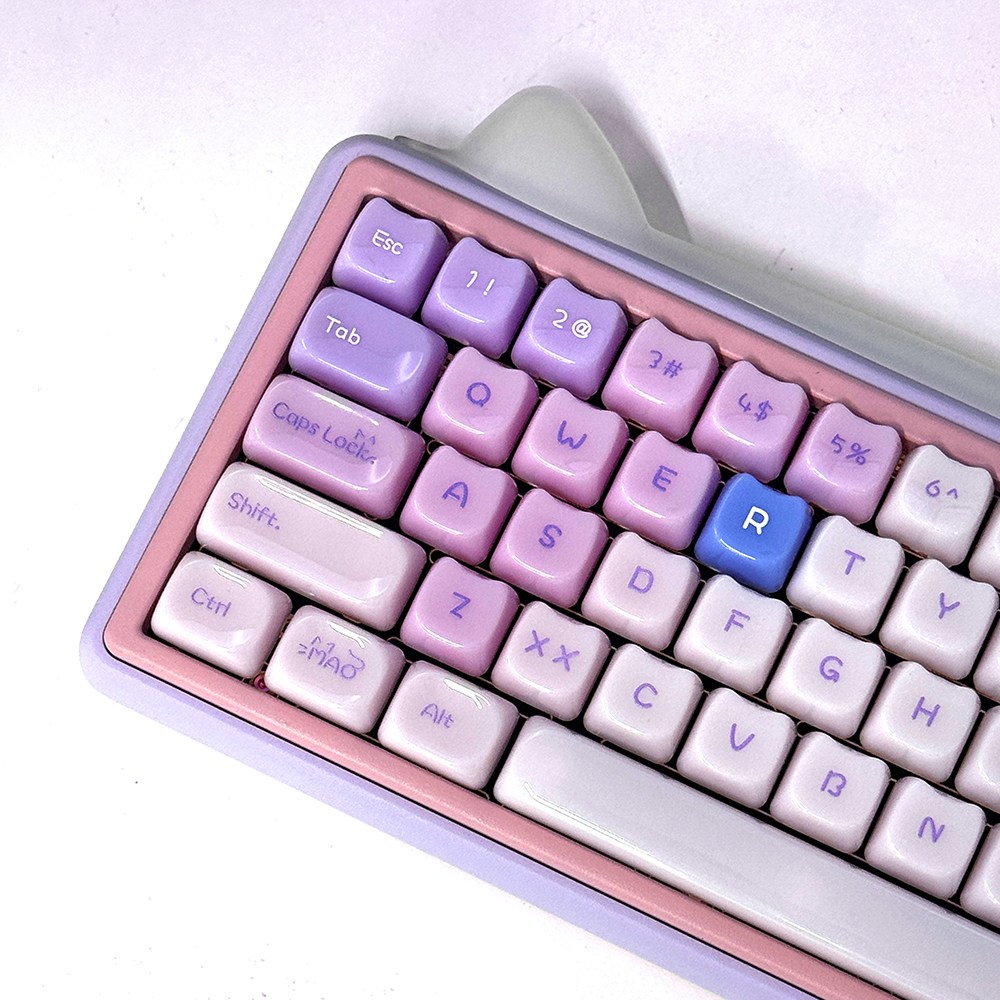 글로시캣 키캡 퍼플 MAO 랙돌 영문 조약돌 귀여운 기계식키보드 키캡 29,800원