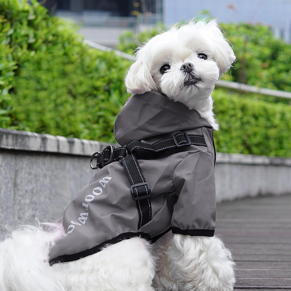 Jeernare 강아지 우비 올인원 강아지 레인코트 아웃도어 강아지비옷 후드티 바람막이 애완용품 11,800원