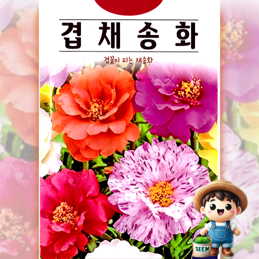 KS종묘 겹채송화 1000립 겹꽃 채송화 꽃씨 씨앗 종자, 1개 1,990원