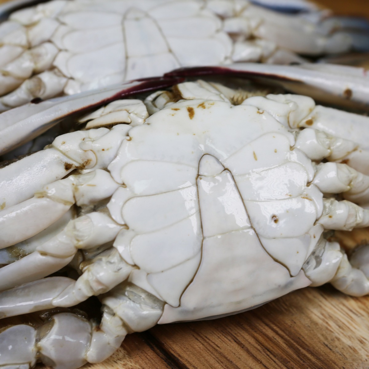 살아서 얼린 연평도 프리미엄 급냉 숫꽃게 가성비 [2025년] 꽃게탕 찜용, 1박스, 급냉 숫꽃게 2kg (6~8미 내외/수분포함 중량) 37,000원