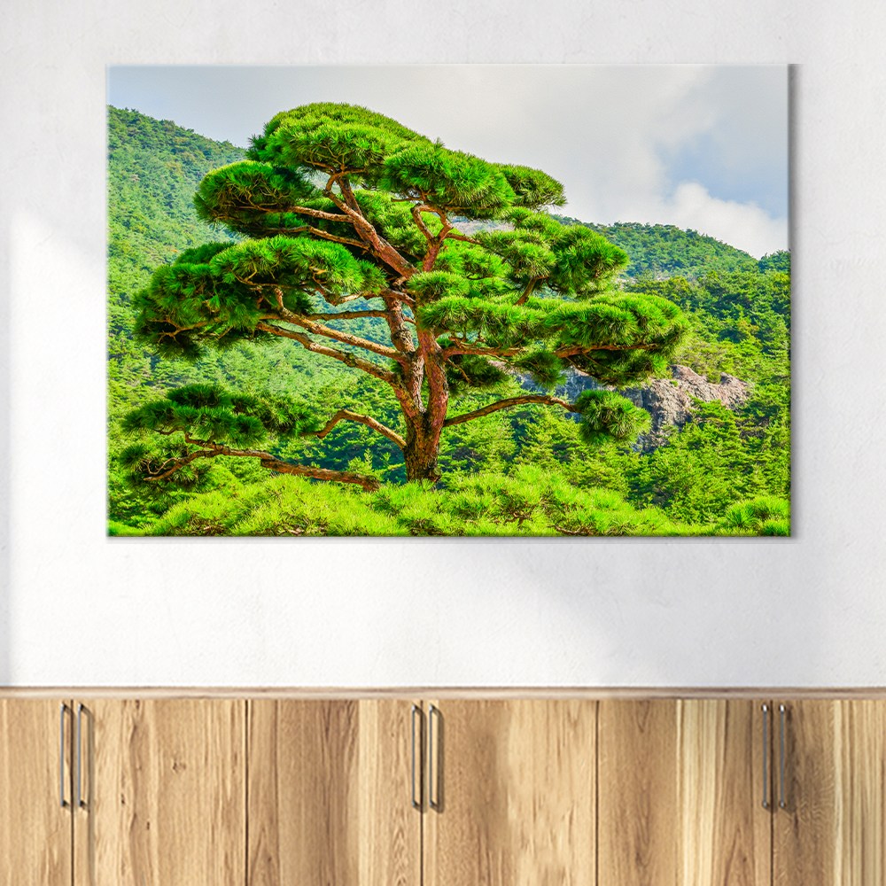 [인메이블] 소나무 27종 1~9번 재물운 풍경화 자연 산 돈들어오는그림 액자 대형 캔버스 거실 풍수 인테리어 선물 353,900원