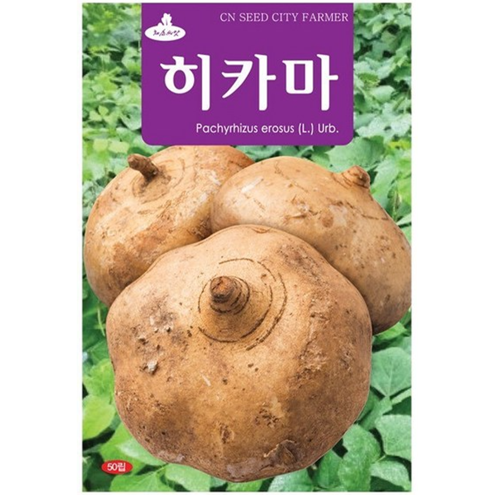 청농 멕시코 감자 히카마 씨앗 50립, 1개 4,990원