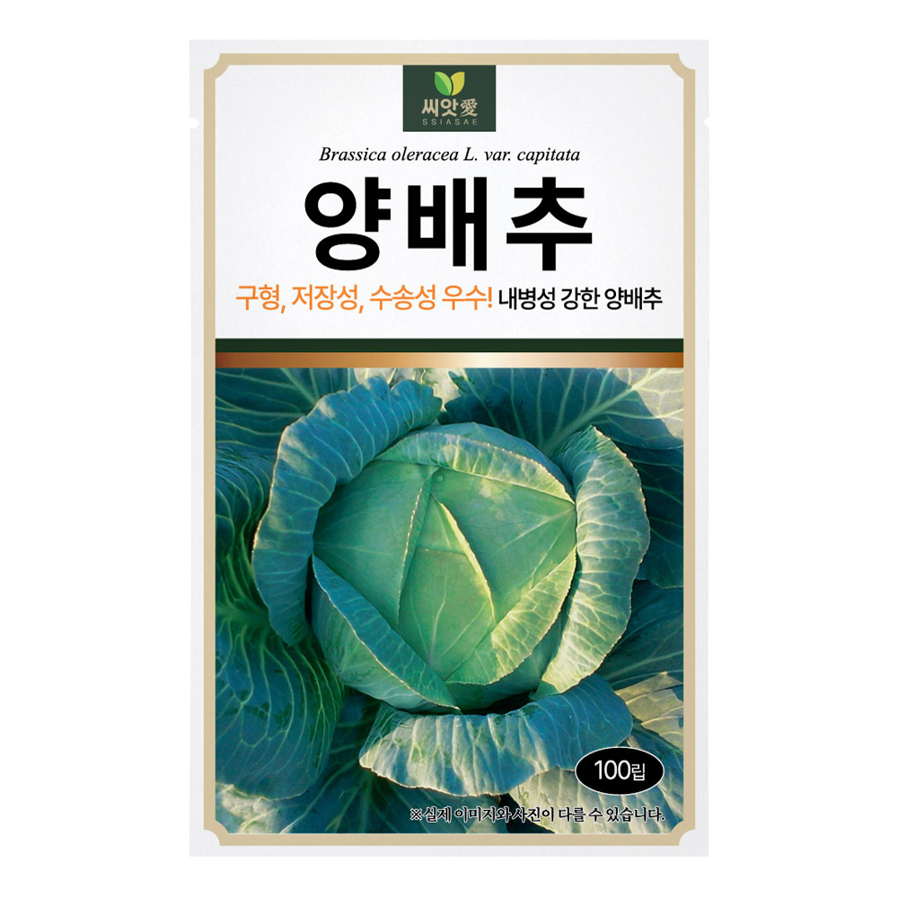 다농 씨앗애 양배추 씨앗 100p 4,850원