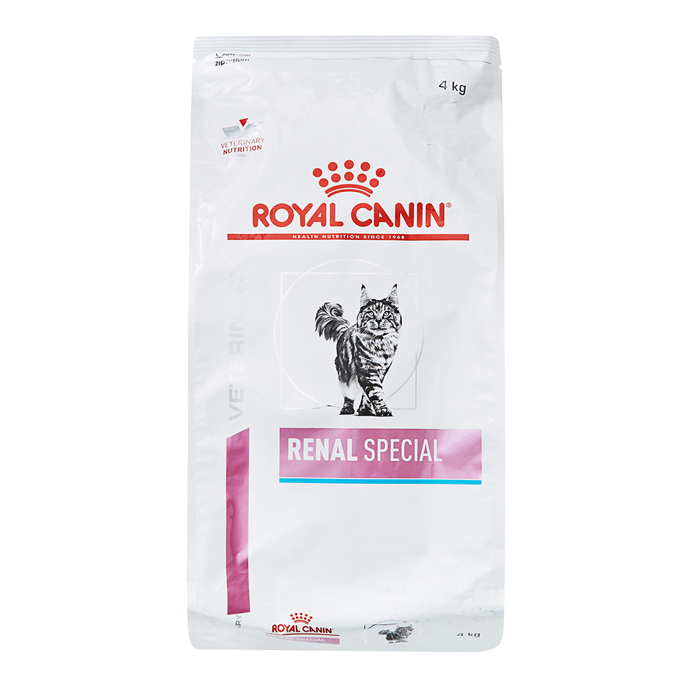 로얄캐닌 고양이 레날 스페셜 사료, 신장, 4kg, 1개 67,000원