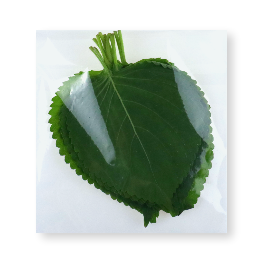 케이함 마이크로펀칭 김서림 방지 기능성 깻잎봉투 1000장, 1개, 1000개입 33,000원